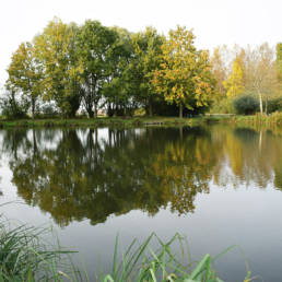 Etang de pêche Marais saint Charles à Lallaing dans le Nord