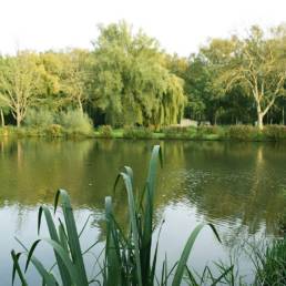 Etang de pêche Marais saint Charles à Lallaing dans le Nord