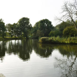 Etang de pêche Marais saint Charles à Lallaing dans le Nord
