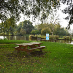 Table de pique nique Etang de pêche Marais saint Charles à Lallaing dans le Nord