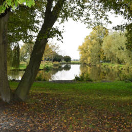 Etang de pêche Marais saint Charles à Lallaing dans le Nord