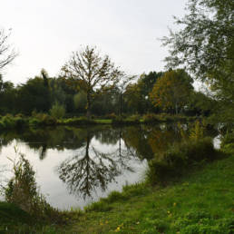 Etang de pêche Marais saint Charles à Lallaing dans le Nord