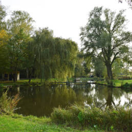 Etang de pêche Marais saint Charles à Lallaing dans le Nord