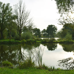 Etang de pêche Marais saint Charles à Lallaing dans le Nord