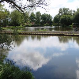 Etang de pêche Marais saint Charles à Lallaing dans le Nord