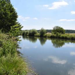 Etang de pêche Marais saint Charles à Lallaing dans le Nord