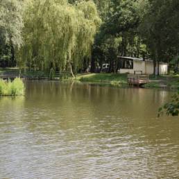 Etang de pêche Marais saint Charles à Lallaing dans le Nord