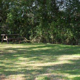 Table de pique nique de l'Etang communal de Preux au bois
