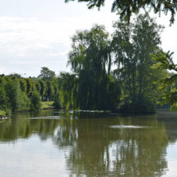 Etang communal de Preux au bois
