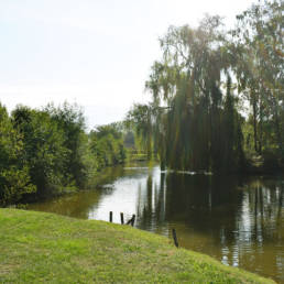 Etang communal de Preux au bois