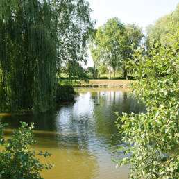 Etang communal de Preux au bois