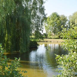 Etang communal de Preux au bois