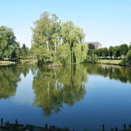 Etang communal de Preux au bois