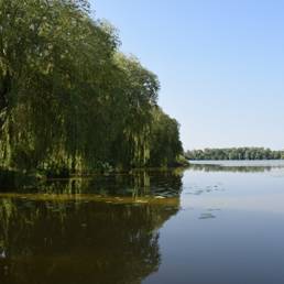 Etang fédéral d'Aubigny au bac Paillencourt dans le Nord