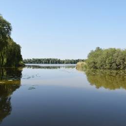 Etang fédéral d'Aubigny au bac Paillencourt dans le Nord