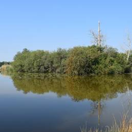 Etang fédéral d'Aubigny au bac Paillencourt dans le Nord