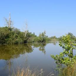 Etang fédéral d'Aubigny au bac Paillencourt dans le Nord