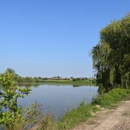 Etang fédéral d'Aubigny au bac Paillencourt dans le Nord