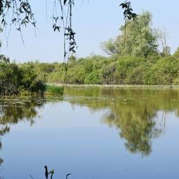 Etang fédéral d'Aubigny au bac Paillencourt dans le Nord