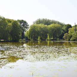 Etang fédéral d'Aubigny au bac Paillencourt dans le Nord
