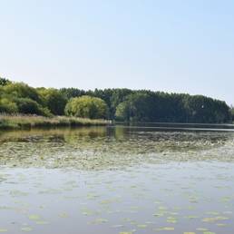 Etang fédéral d'Aubigny au bac Paillencourt dans le Nord