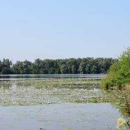 Etang fédéral d'Aubigny au bac Paillencourt dans le Nord