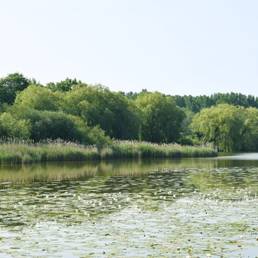 Etang fédéral d'Aubigny au bac Paillencourt dans le Nord