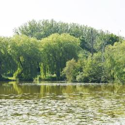 Etang fédéral d'Aubigny au bac Paillencourt dans le Nord