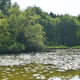 Etang fédéral d'Aubigny au bac Paillencourt dans le Nord