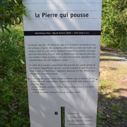 Etang fédéral d'Aubigny au bac Paillencourt dans le Nord