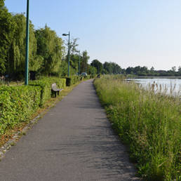 Marais de Brunémont étang fédéral dans le Nord