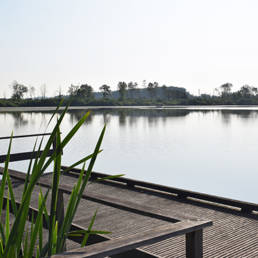 Marais de Brunémont étang fédéral dans le Nord
