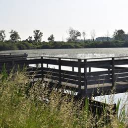 Marais de Brunémont étang fédéral dans le Nord