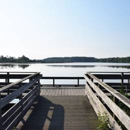 Marais de Brunémont étang fédéral dans le Nord