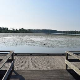 Marais de Brunémont étang fédéral dans le Nord