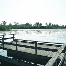 Marais de Brunémont étang fédéral dans le Nord