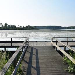 Marais de Brunémont étang fédéral dans le Nord