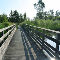 Marais de Brunémont étang fédéral dans le Nord