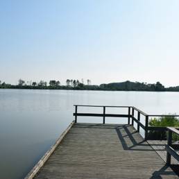 Marais de Brunémont étang fédéral dans le Nord