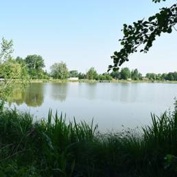 Marais de Brunémont étang fédéral dans le Nord