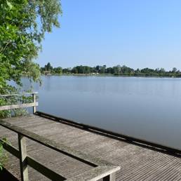 Marais de Brunémont étang fédéral dans le Nord