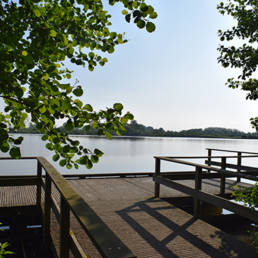 Marais de Brunémont étang fédéral dans le Nord