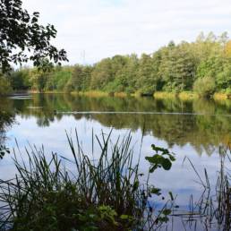Etang fédéral de la gare d'eau de Vieux Condé