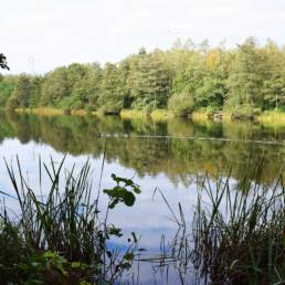 Etang fédéral de la gare d'eau de Vieux Condé dans le Nord