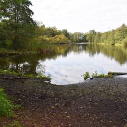 Etang fédéral de la gare d'eau de Vieux Condé dans le Nord