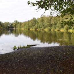 Etang fédéral de la gare d'eau de Vieux Condé dans le Nord