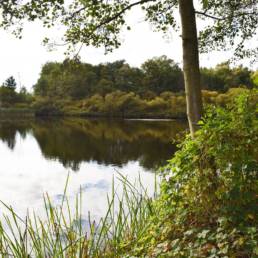 Etang fédéral de la gare d'eau de Vieux Condé dans le Nord