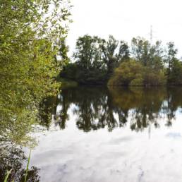 Etang fédéral de la gare d'eau de Vieux Condé dans le Nord