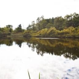 Etang fédéral de la gare d'eau de Vieux Condé dans le Nord
