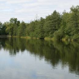 Etang fédéral de la gare d'eau de Vieux Condé